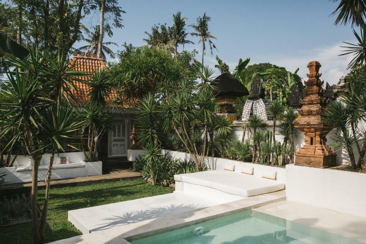 The Seseh House Villa Canggu Exteriör bild